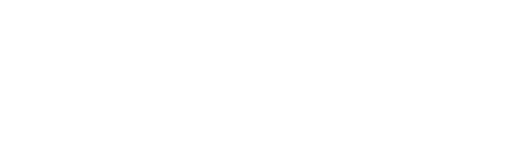digipro web design Newcastle